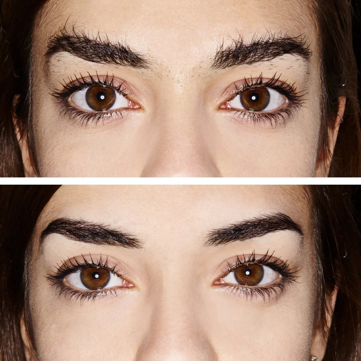 Face & Brows Pro Kit: The Complete Grooming System - Hollywood Browzer