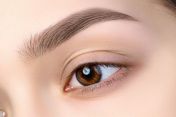 Why The Hollywood Brow Protector Will Give You Perfect Brows